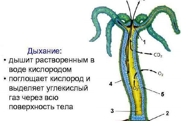 Гидра даркнет рынок