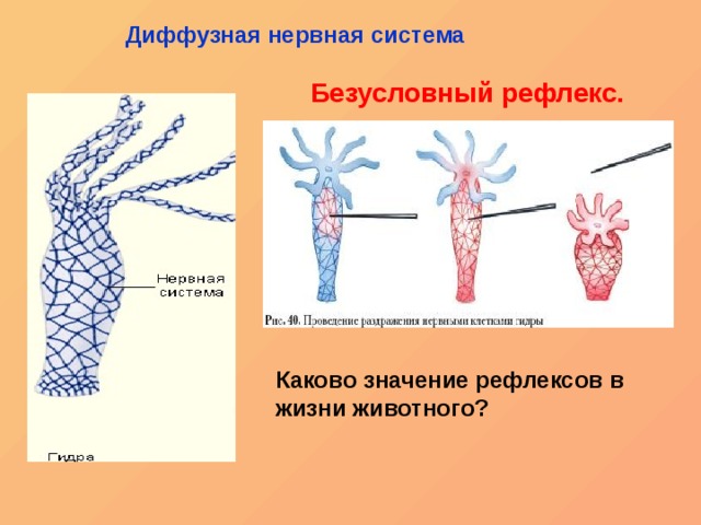 Аккаунты кракен